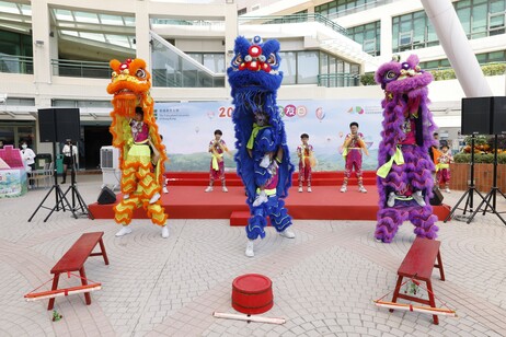 The lion dance performance by the S.R.B.C.E.P.S.A. Lu Kwong Fai Memorial School celebrates the occasion