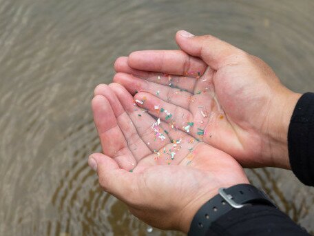 海水养殖中微塑胶生物膜中的抗药性基因和病原体动态研究