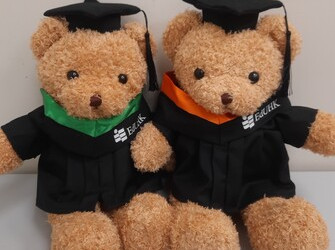 教大畢業熊