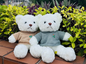 教大小熊(毛衣)