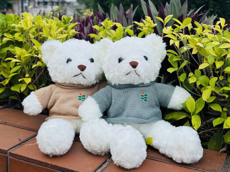教大小熊(毛衣)