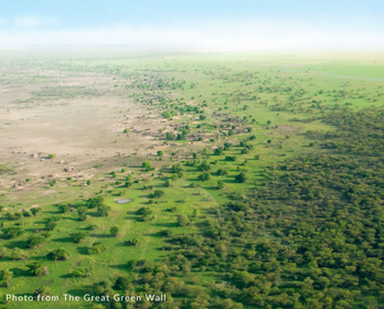 greatgreenwall