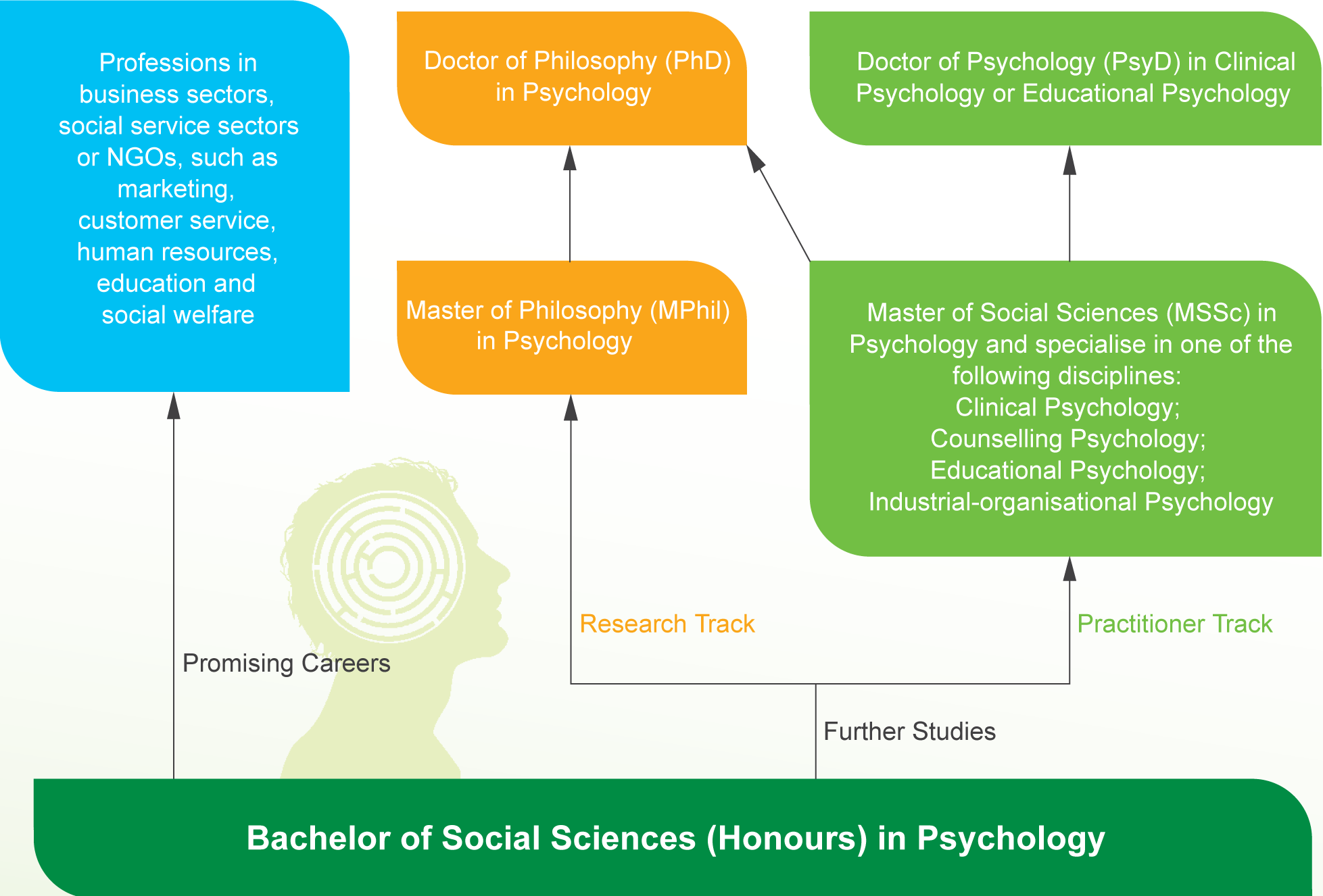 Social sciences education