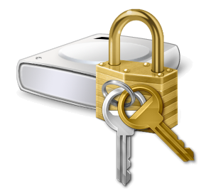 BitLocker Icon