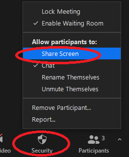The image illustrate the Who can share screen options